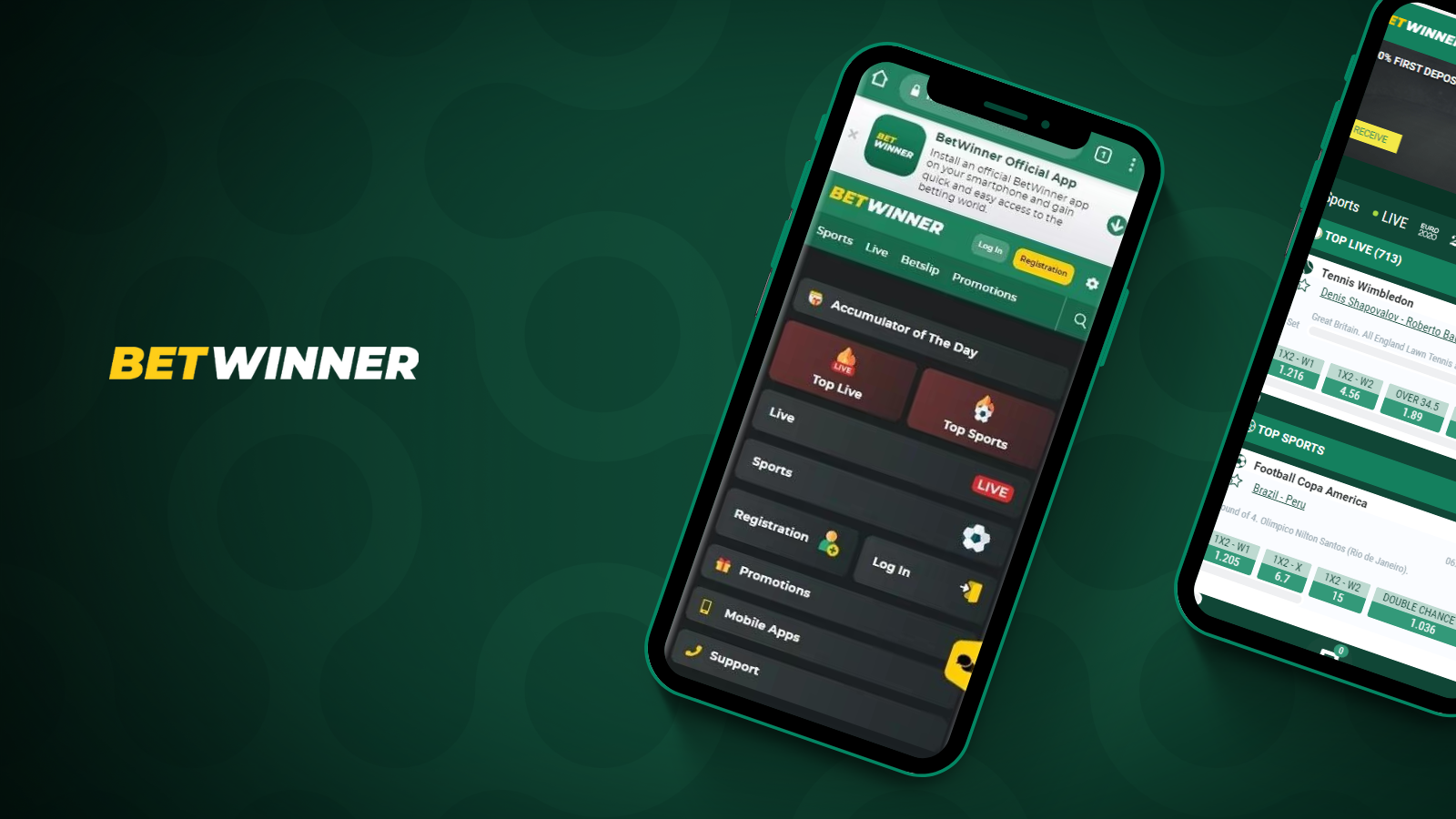 Master Your Betwinner in 5 Minutes A Day